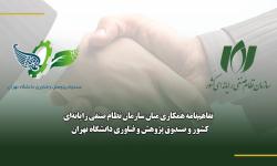ارائه انواع ضمانت‌نامه و تسهیلات مالی ویژه اعضای نظام صنفی رایانه‌ای کشور